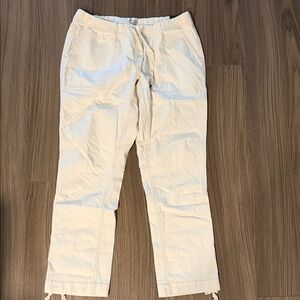 NWT Alpine design women’s size large hike pants